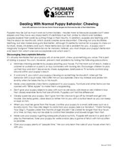 Dealing With Normal Puppy Behavior: Chewing Used with permission from Denver Dumb Friends League and Humane Society of the United States. Puppies may be just as much work as human babies - maybe more so because puppies c
