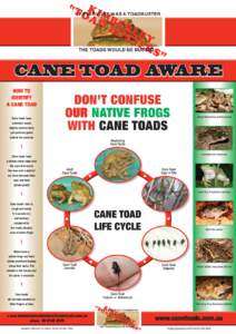 IF EVERYONE WAS A TOADBUSTER  THE TOADS WOULD BE BUSTED CANE TOAD AWARE HOW TO