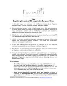 Q&A Explaining the state of GM crops in the European Union 1. In 2010, GM crops were cultivated in 8 EU Member States; Czech Republic, Germany, Poland, Portugal, Romania, Slovakia, Spain and Sweden. 2. GM crop cultivatio