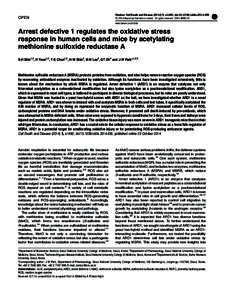 Reactive oxygen species / Oxidative stress / Thioredoxin / Glutathione / Mitochondrion / Cellular differentiation / Myc / A549 cell / Biology / Methionine oxidation / MSRA