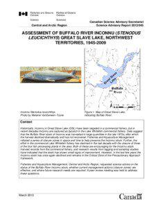 Assessment of Buffalo River Inconnu (Stenodus leucichthys) Great Slave Lake, Northwest Territories, [removed]