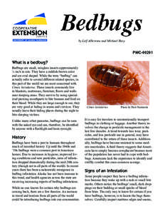 by Leif Albertson and Michael Rasy  PMC[removed]What is a bedbug? Bedbugs are small, wingless insects approximately