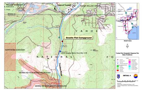 Town of Truckee  TAHOE YELLOW CRESS Stampede Reservoir  SIERRA COUNTY