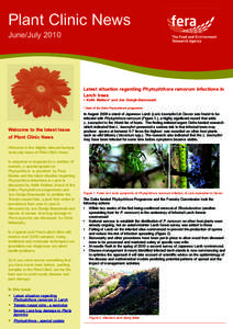 Plant Clinic News June/July 2010 Latest situation regarding Phytophthora ramorum infections in Larch trees - Keith Walters* and Joe Ostojá-Starzewski