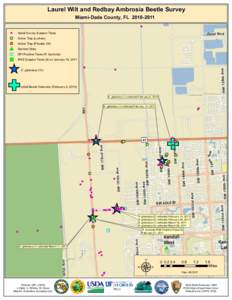 Laurel Wilt and Redbay Ambrosia Beetle Survey Miami-Dade County, FL[removed] ) 