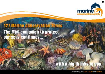 127 Marine Conservation Zones The MCS campaign to protect our seas continues... with a big thanks to you Protecting our seas, shores and wildlife