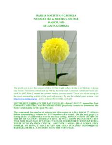 DAHLIA SOCIETY OF GEORGIA NEWSLETTER & MEETING NOTICE MARCH, 2015 ATLANTA GEORGIA  The results are in and the winner is Edna C! This bright yellow dahlia is an Medium to Large