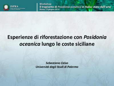 Esperienze di riforestazione con Posidonia oceanica lungo le coste siciliane Sebastiano Calvo Università degli Studi di Palermo