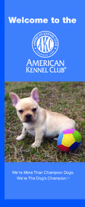 Agriculture / American Kennel Club / Dog breeds / Canine Good Citizen / Mixed-breed dog / Lure coursing / Earthdog trial / Hunt test / Boykin Spaniel / Breeding / Kennel clubs / Dog breeding