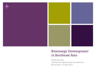 +  Bioenergy Development in Southeast Asia Fabby Tumiwa Institute for Essential Services Reform