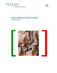 Indian Leather & Tanning Industry Profile 2010