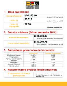 1. Hora profesional: ¢Hora profesional: Valor (i) Valor (i) Topografía