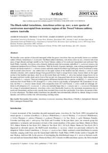 The Black-tailed Antechinus, Antechinus arktos sp. nov.: a new species of carnivorous marsupial from montane regions of the Tweed Volcano caldera, eastern Australia