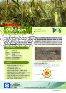 MISTR V PRODUKCI METANU  KWS Progas KWS Progas přináší významný pokrok ve šlechtění hybridního žita s ohledem na produkci biomasy. Jedná se o hybrid ze šlechtitelské dílny KWS Lochow vybavený technologií