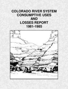 COLORADO RIVER SYSTEM CONSUMPTIVE USES AND LOSSES REPORT[removed]