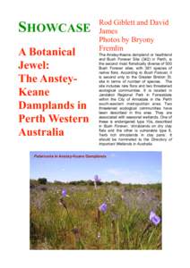 SHOWCASE A Botanical Jewel: The AnsteyKeane Damplands in Perth Western