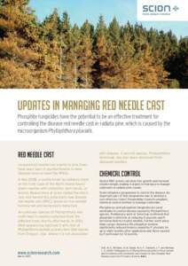 Updates in managing red needle cast Phosphite fungicides have the potential to be an effective treatment for controlling the disease red needle cast in radiata pine, which is caused by the microorganism Phytophthora pluv