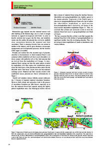 National Institute for Basic Biology  Cell Biology LABORATORY OF CELL SOCIOLOGY