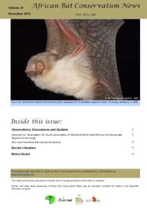 African Bat Conservation News vol. 27