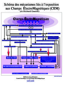 Schéma des mécanismes liés à l’exposition aux Champs ÉlectroMagnétiques (CEM) (Dr Richard Gautier) Champs ÉlectroMagnétiques Dépolymérisation des filaments d’actine