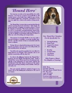 ‘Hound Hero’ Not everyone can take on the responsibility of an additional pet. Let’s face it, as much as you would like to add another basset to the family there might be space issues, your landlord might have “m