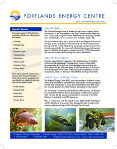 PORTLANDS ENERGY CENTRE www. portlandsenergycentre.com Aquatic Life Aquatic Species Past studies along the Waterfront have