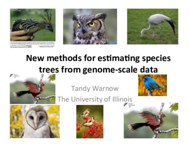 New	
  methods	
  for	
  es-ma-ng	
  species	
   trees	
  from	
  genome-­‐scale	
  data	
   Tandy	
  Warnow	
   The	
  University	
  of	
  Illinois	
    Phylogeny	
  
