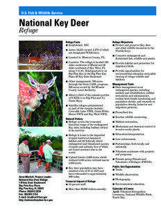 U.S. Fish & Wildlife Service  National Key Deer