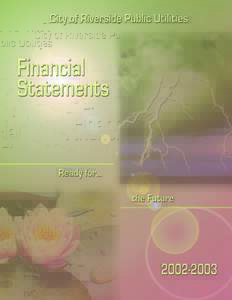 Riverside /  California / Geography of California / Balance sheet / Electrical grid / Financial statements / Electric power / Business