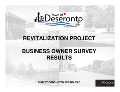 REVITALIZATION PROJECT BUSINESS OWNER SURVEY RESULTS SURVEY CONDUCTED SPRING 2007