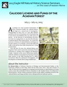 2015 Eagle Hill Natural History Science Seminarson the coast of eastern Maine Calicioid Lichens and Fungi of the Acadian Forest