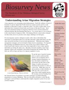 Biosurvey News The Newsletter of the Oklahoma Biological Survey Winter 2010 Understanding Avian Migration Strategies Avian migration is an astounding natural phenomenon. Each fall, millions of birds of