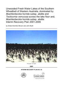 Unwooded Fresh Water Lakes of the Southern Wheatbelt of Western Australia, dominated by Muehlenbeckia horrida subsp