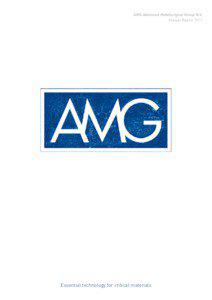 AMG Advanced Metallurgical Group N.V. Annual Report 2011