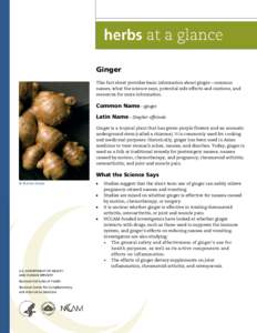 Ginger This fact sheet provides basic information about ginger—common names, what the science says, potential side effects and cautions, and resources for more information.  Common Name—ginger
