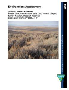 Environment Assessment GRAZING PERMIT RENEWAL Border, Cook, Sims Canyon, State Line, Thomas Canyon, Turner, Wasatch, Woodruff Reservoir Grazing Allotments WY-090-EA11-27