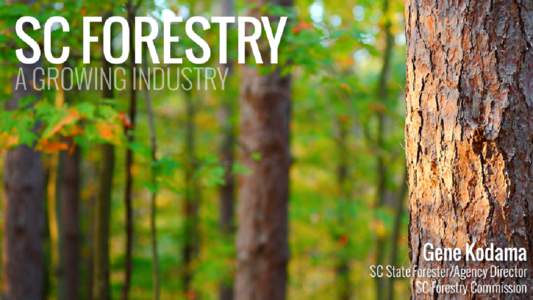 SC FOREST FACTS • 13.1 million acres of forestland • 67% of SC’s land area is forested • 52% hardwood / 48% pine types • 24% planted pine, producing >50% of timber supply