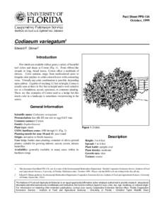 Fact Sheet FPS-134  October, 1999 Codiaeum variegatum1 Edward F. Gilman2