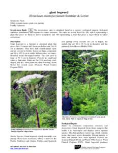 Biology / Heracleum mantegazzianum / Heracleum / Common Hogweed / Cow Parsnip / Noxious weed / Weed control / Noxious / Heracleum sosnowskyi / Apiaceae / Flora of the United States / Flora
