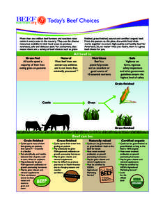 BEEF nutrition.org Today’s	Beef	Choices  More than one million beef farmers and ranchers raise