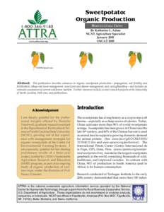 Sweetpotato: Organic Production