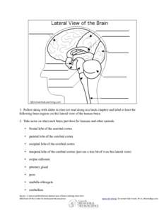    1. Follow along with slides in class (or read along in a book chapter) and label at least the following brain regions on this lateral view of the human brain. 2. Take notes on what each brain part does for humans and