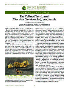 WWW.IRCF.ORG/REPTILESANDAMPHIBIANSJOURNAL TABLE OF CONTENTS