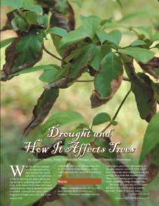 Plant morphology / Hydrology / Plants / Tree diseases / Land management / Soil / Drought / Honey locust / Ziziphus mauritiana / Botany / Biology / Agriculture