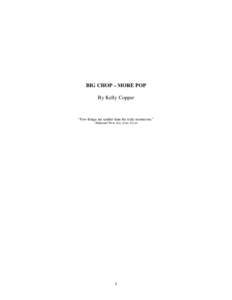 Microsoft Word - BIG CHOP - MORE POP.doc