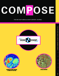 COMPOSE THE DOE CSGF ANNUAL ESSAY CONTEST JOURNAL THE DOE CSGF ESSAY CONTEST WINNING ESSAYS  MAKING BLURRY IMAGES