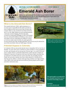 QUICK GUIDE SERIES		  UCF[removed]Emerald Ash Borer