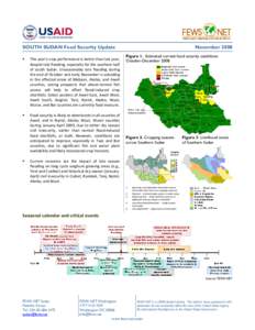 Microsoft Word - sudan_11_2008_final.doc