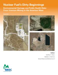 Nuclear Fuel’s Dirty Beginnings Environmental Damage and Public Health Risks From Uranium Mining in the American West March[removed]Authors