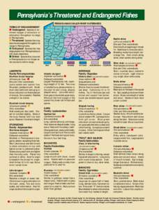 Pennsylvania’s Threatened and Endangered Fishes PENNSYLVANIA’S MAJOR RIVER WATERSHEDS WARREN SULLIVAN